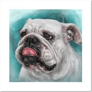 Close Up Painting of a White Bulldog With Its Tongue Out, Blue Background Posters and Art